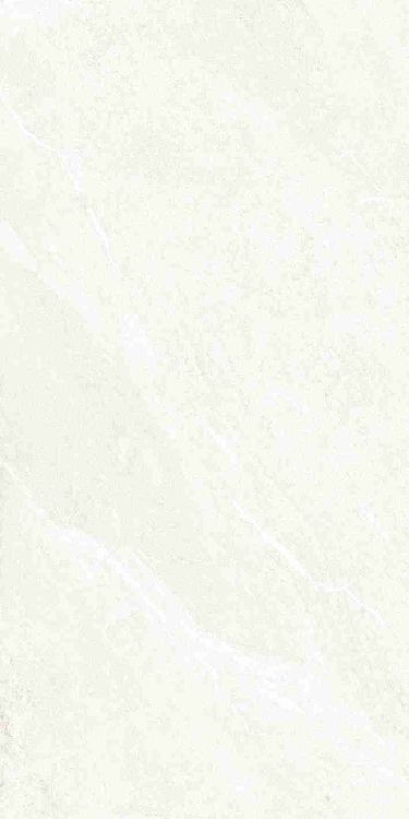 Dhara White Matte 24 x 48